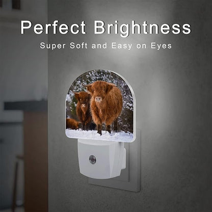 sndheke Highland Cow Night Light - Image 2