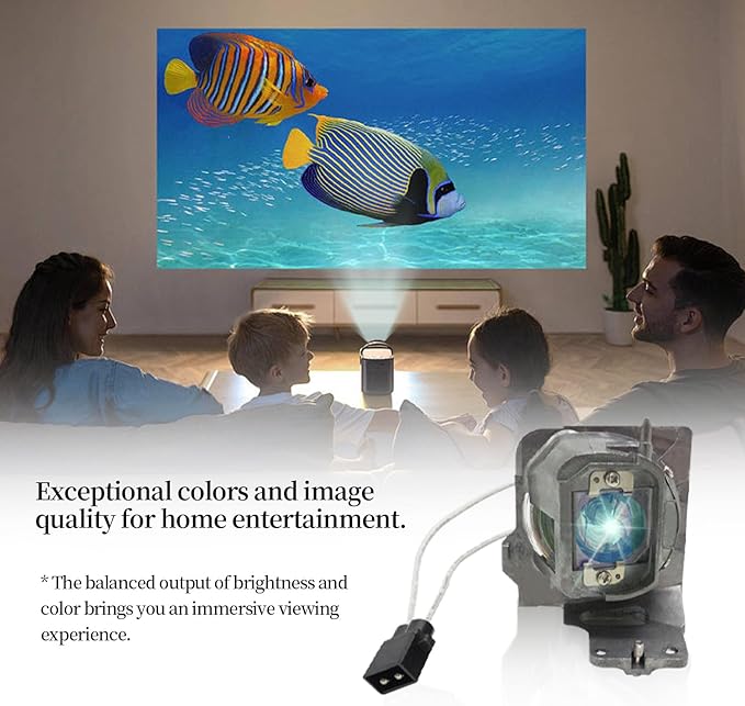 SORNEICDR BL-FU200E / SP.7EH01GC01 Replacement Projector Lamp Bulb Compatible - Image 5