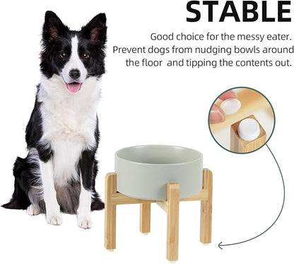 Ceramic Raised Dog Bowl Set, Elevated - Image 6
