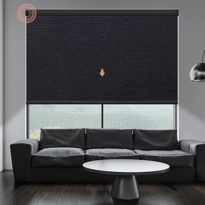 Motorized Blinds Roller Shade by Canisteo
