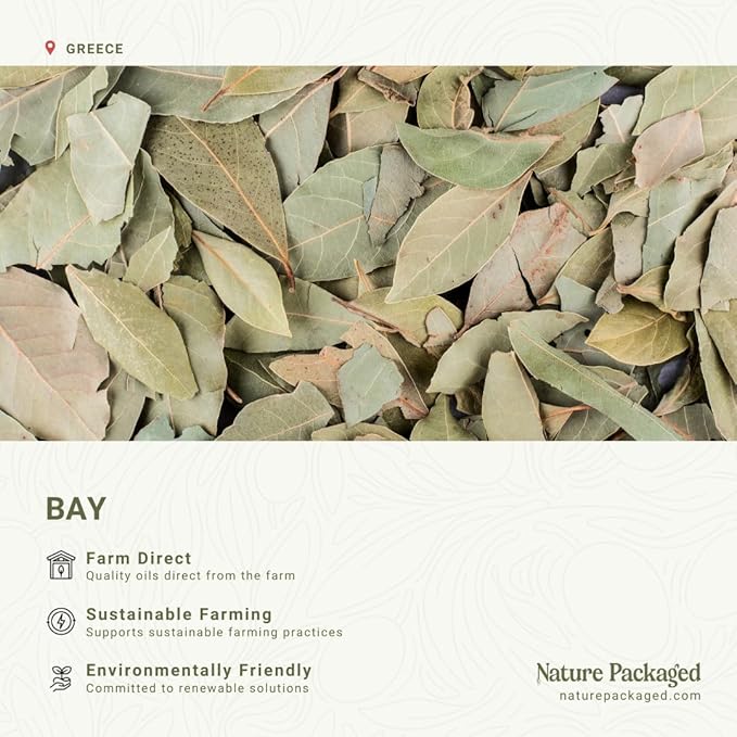 Bay Essential Oil - Image 3