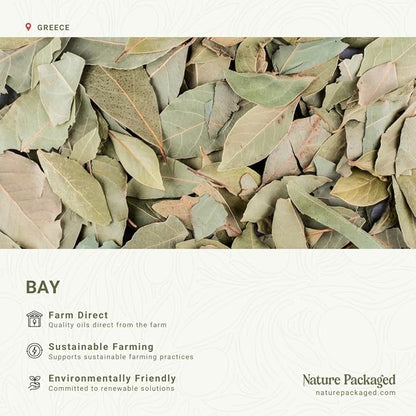 Bay Essential Oil - Image 3