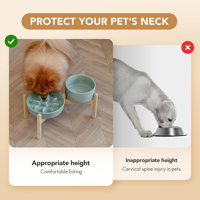 Ceramic 1.2 Cup Raised Slow Feeder Dog Bowl Set, Elevated 6.1inch Bowl and - Image 7