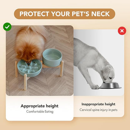Ceramic 1.2 Cup Raised Slow Feeder Dog Bowl Set, Elevated 6.1inch Bowl and - Image 7