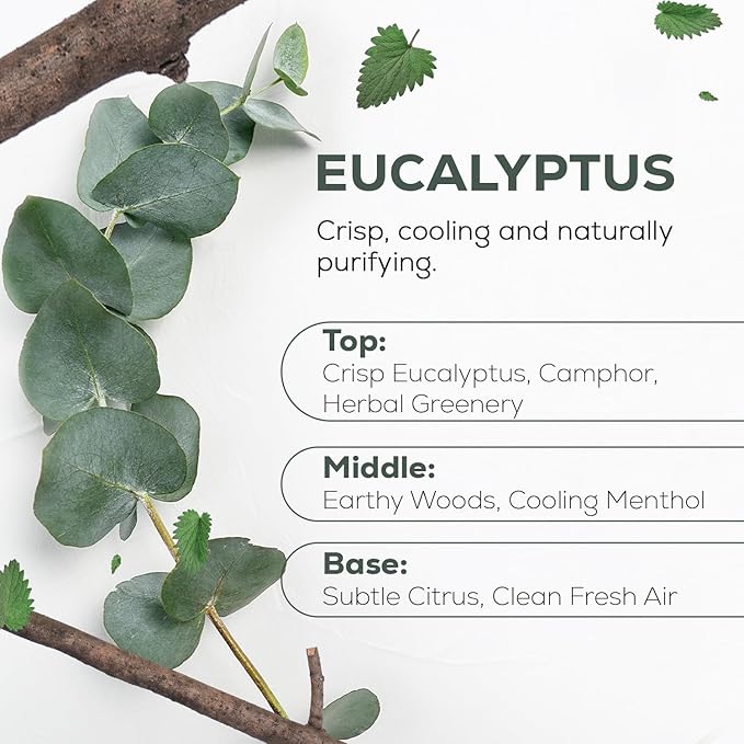 Aroma Country 100% Pure Eucalyptus Essential Oil – Organic & Undiluted Diffuser - Image 2