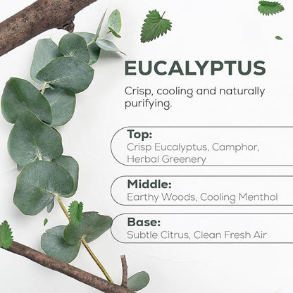 Aroma Country 100% Pure Eucalyptus Essential Oil – Organic & Undiluted Diffuser - Image 2