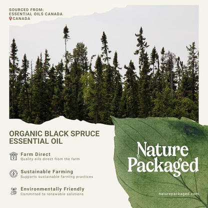Organic Black Spruce Essential Oil from Canada - Image 6
