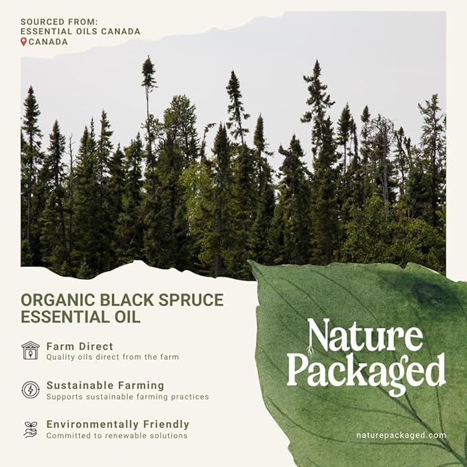 Organic Black Spruce Essential Oil from Canada - Image 6