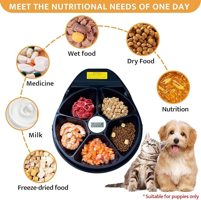 UBPET Cat Wet Food Automatic Feeder - Image 5