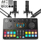 Podcast Equipment Bundle for 2, Audio Interface by Hayner-Seek