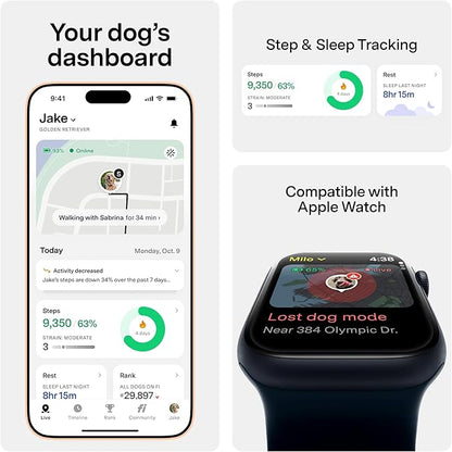 New Fi Series 3+ Smart Dog Tracker Collar GPS Tracker - Image 3