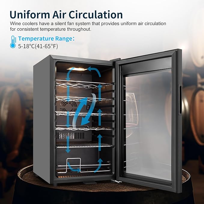 24 Bottles Wine Cooler Refrigerator, Small Wine Fridge Mini Wine Fridge - Image 8