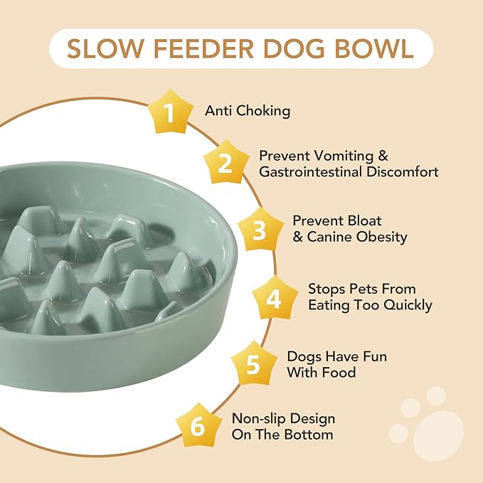 Ceramic 3.2 Cup Raised Slow Feeder Dog Bowl Set, Elevated 8.2inch Bowl and - Image 6