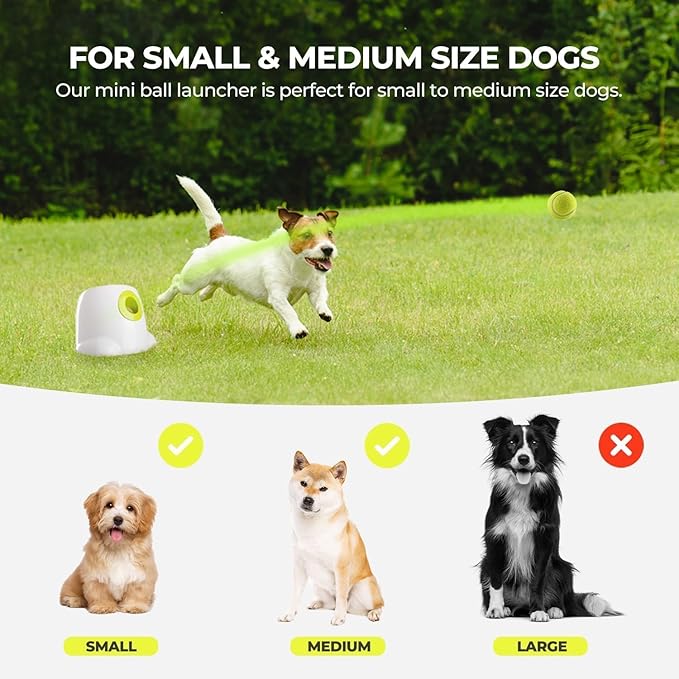 ALL FOR PAWS Automatic Ball Launcher for Dogs Interactive Puppy Pet Ball Indoor - Image 7