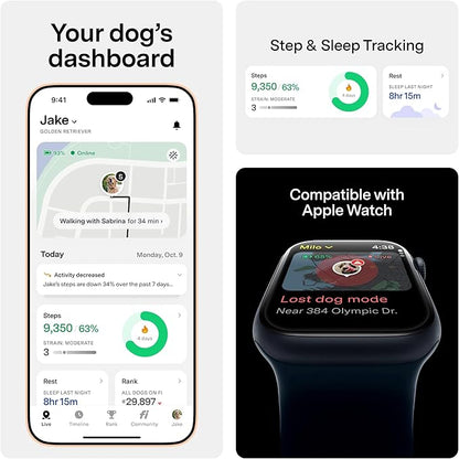 Fi Mini GPS Tracker for Dogs — 12-Month Membership Included — Smart Pet - Image 3