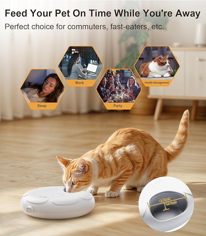 Casfuy Automatic Cat Feeder Cordless - Image 2