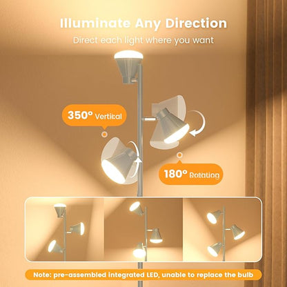 SIBRILLE 36W LED Tree Floor Lamp, Dimmable Tall Standing Lamp - Image 5