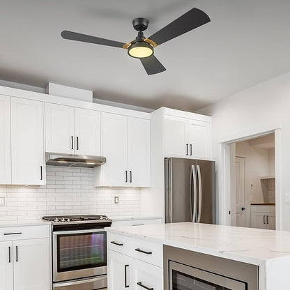 SMAAIR 52 Inch Smart Wifi Ceiling Fans - Image 2