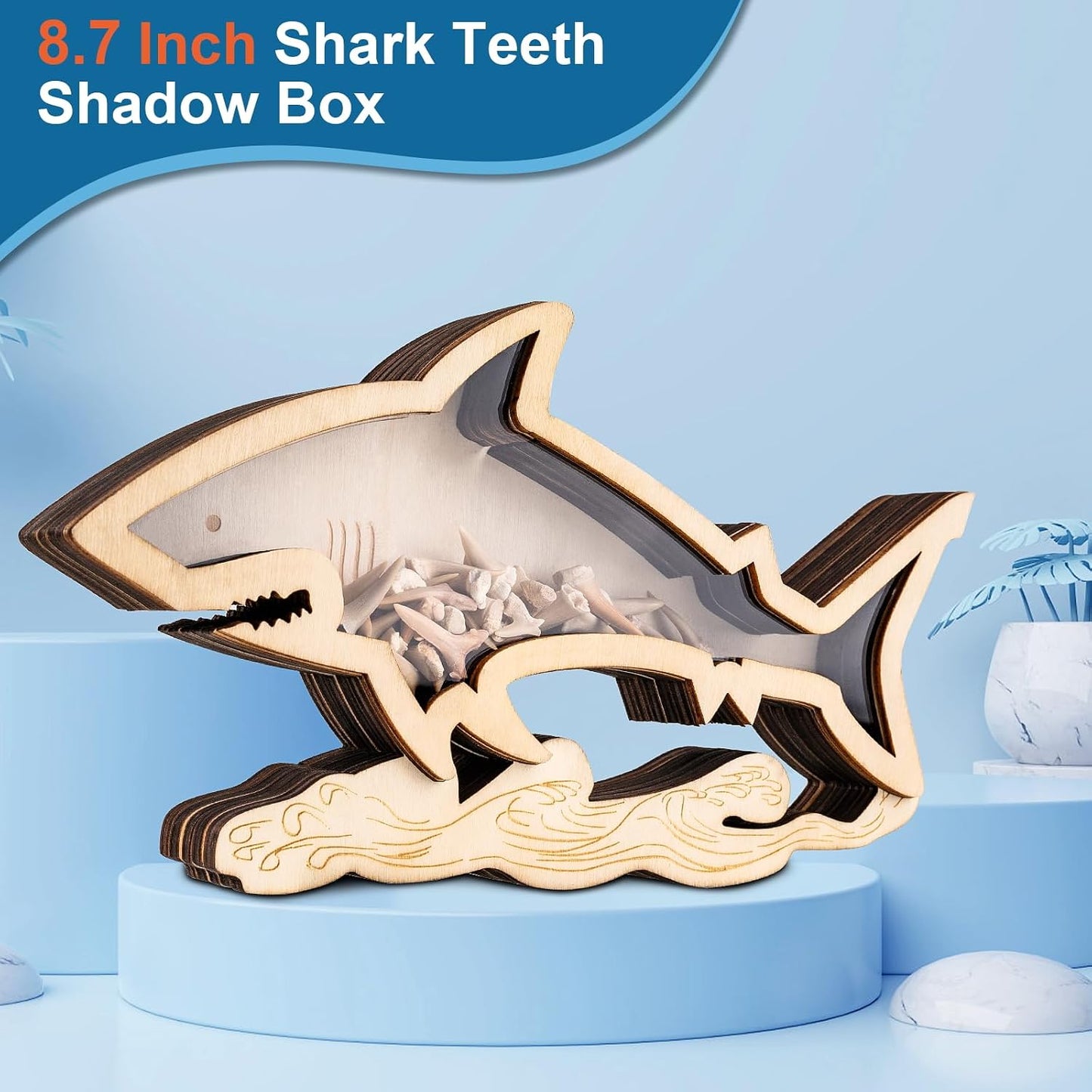 8.7 In Shark Tooth Display Case,Handmade Shark Teeth Shadow Boxes Display Cases,Wood Shark Teeth Holder,Shark Tooth Display Box,Shark Tooth Collection,Shark Decor Beach Gifts
