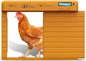 Automatic Chicken Coop Door Battery Powered, Chicken Door by TIMEBAL