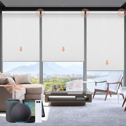 Motorized Roller Shade: 100% Blackout, Electric Blinds Compatible by Canisteo