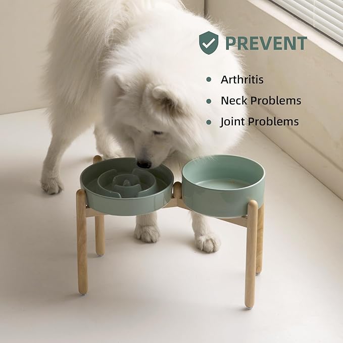 3.2 Cup Ceramic Raised Slow Feeder Dog Bowl Set, Elevated 8.2inch Bowl and - Image 5