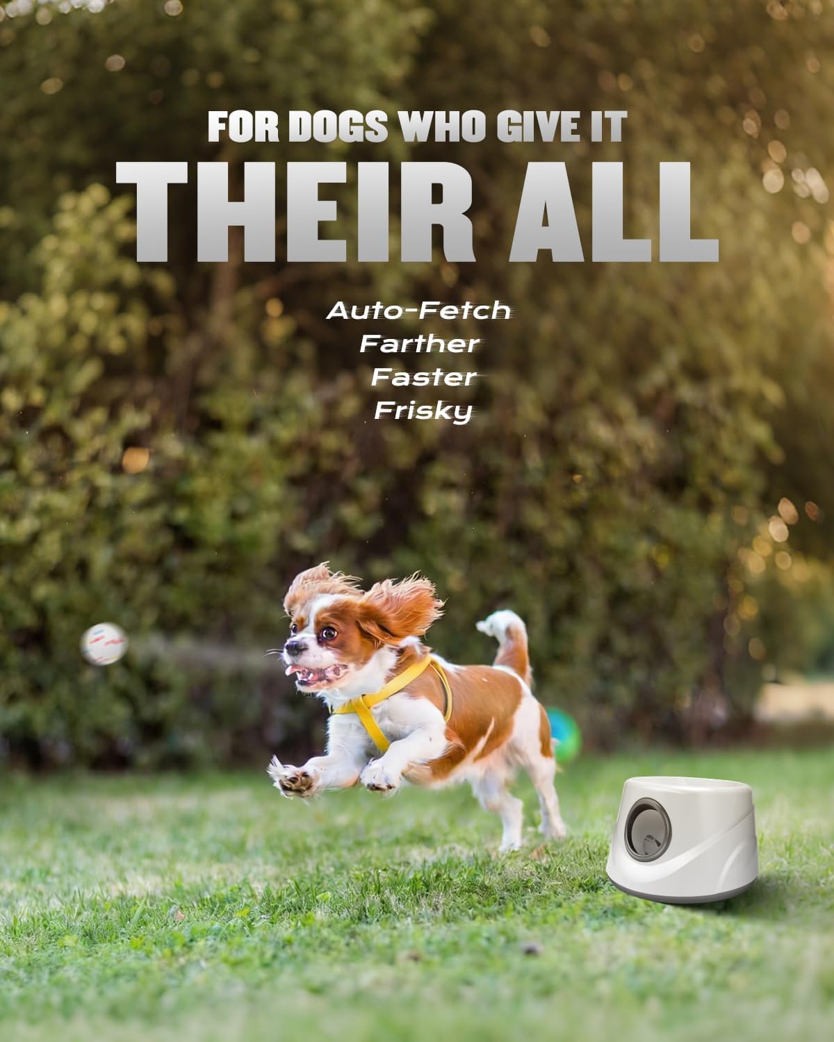 automatic ball thrower for dogs, ball launcher for shown in use