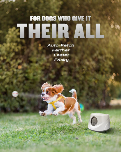 automatic ball thrower for dogs, ball launcher for shown in use