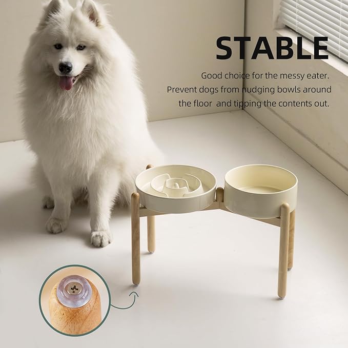 3.2 Cup Ceramic Raised Slow Feeder Dog Bowl Set, Elevated 8.2inch Bowl and - Image 6
