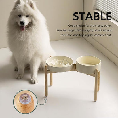 3.2 Cup Ceramic Raised Slow Feeder Dog Bowl Set, Elevated 8.2inch Bowl and - Image 6