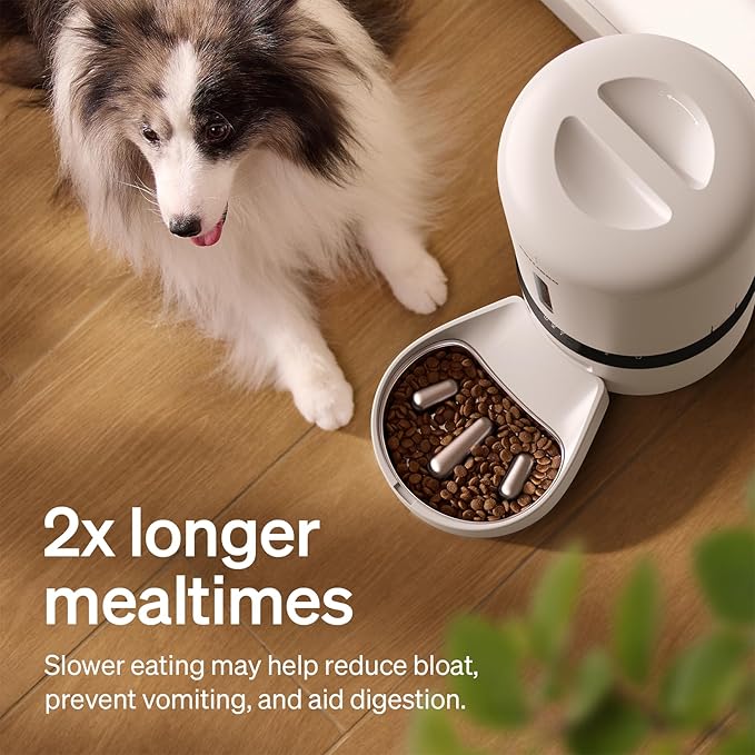 PETLIBRO Automatic Cat Feeder - Image 4