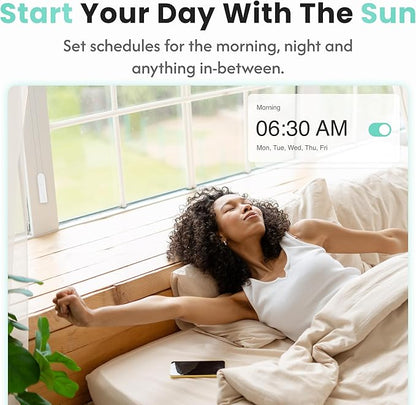 Aura Roller Smart Shade Driver, Remote Control & WiFi Dongle | Automate - Image 9