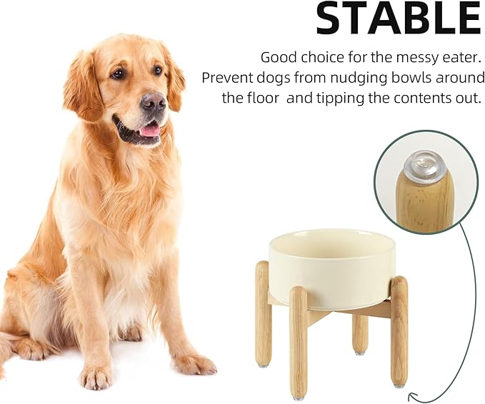 Ceramic 7.3inch Raised Dog Bowl Set, Elevated - Image 6