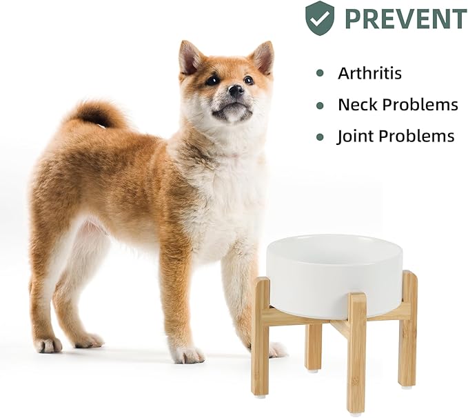 Ceramic Raised Dog Bowl Set, Elevated - Image 5