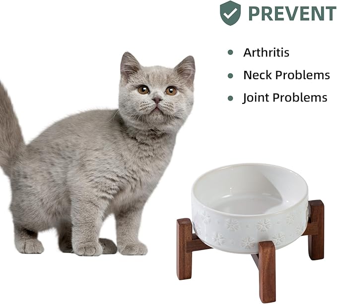 Ceramic 5.1inch Raised Dog and Cat Bowl Set, 2 Heights Elevated Wooden Stand - Image 6