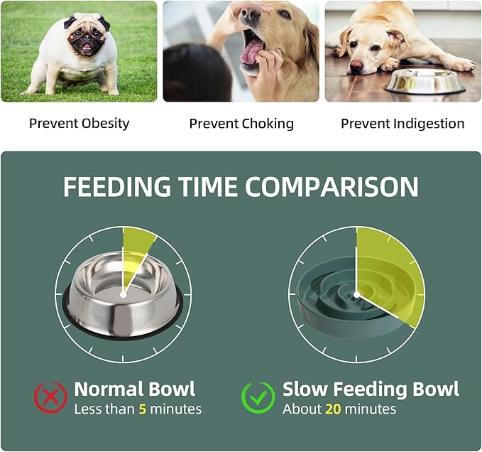 Ceramic 1.6 Cup Slow Feeder Dog Bowl - Image 3