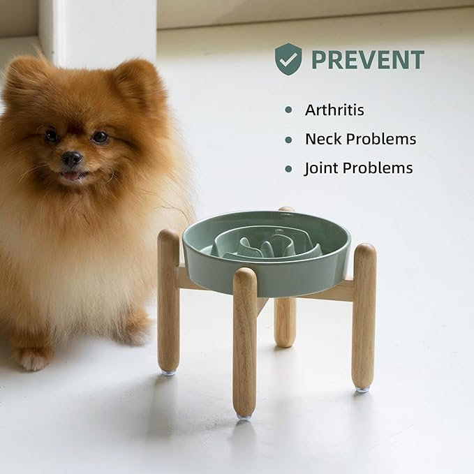 Ceramic 1.2 Cup Raised Slow Feeder Dog Bowl Set, Elevated Wooden Stand - Image 5