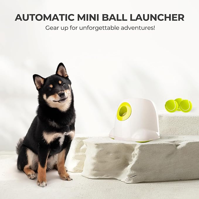 ALL FOR PAWS Original Dog Automatic Ball Launcher for Small and Medium Dogs - Image 7