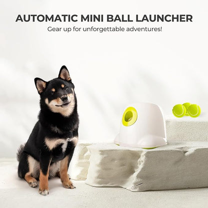 ALL FOR PAWS Original Dog Automatic Ball Launcher for Small and Medium Dogs - Image 7