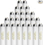 25 Pack T8 Fluorescent Bulbs 4 Foot, F32T8/865 Fluorescent Light Bulb 48 Inch by Konideke
