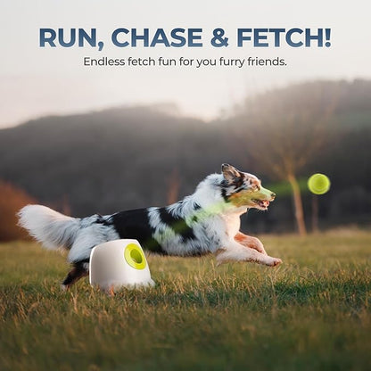 ALL FOR PAWS Automatic Ball Launcher for Dogs Interactive Puppy Pet Ball - Image 8