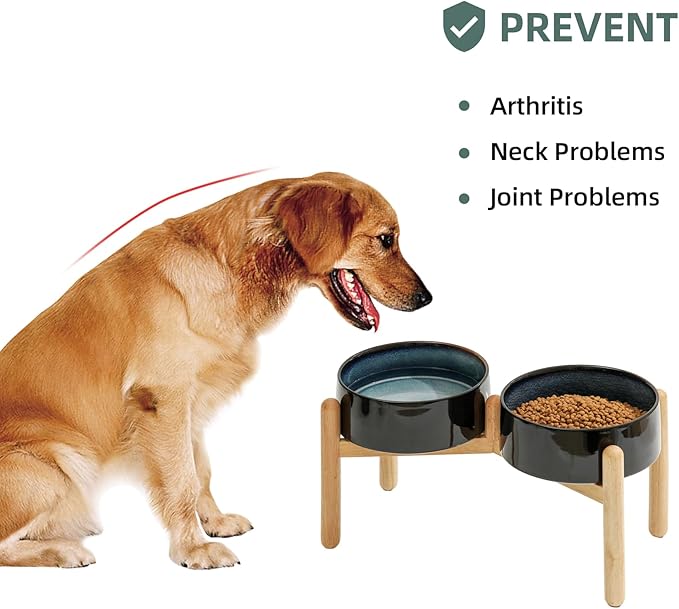 Ceramic 8.2inch Raised Dog Bowl - Image 5
