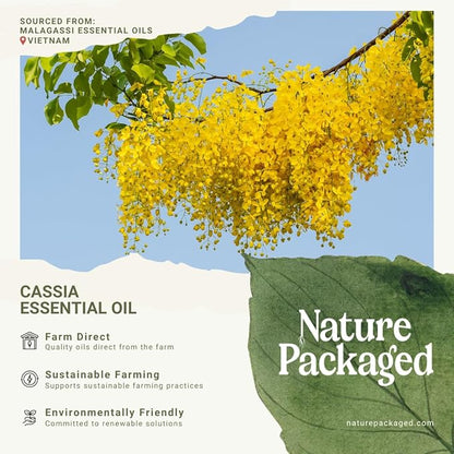 Cassia Essential Oil - Image 6