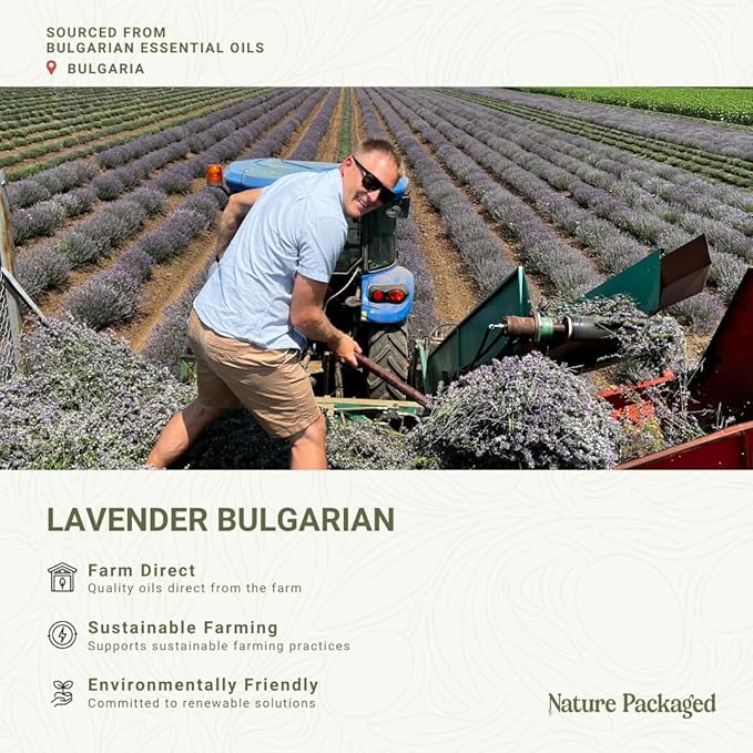 Lavender Oil - Bulgarian Essential Oils - Lavender Diffuser - Pure Therapeutic - Image 3