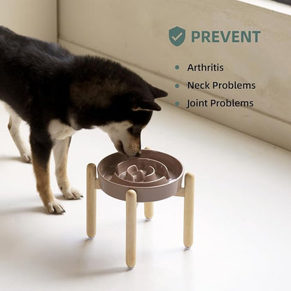 Ceramic 1.6 Cup Raised Slow Feeder Dog Bowl Set, Elevated Wooden Stand - Image 5