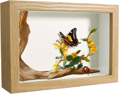 5x7 Wood Color Shadow Box Frame Display Case | With Real Glass for Memorabilia,Wedding Memories,Pins,Awards,Crafts,Tickets and Photos
