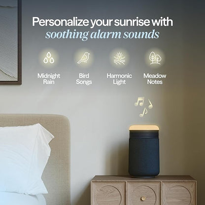 BLUEAIR Purifier for Bedroom - Image 6