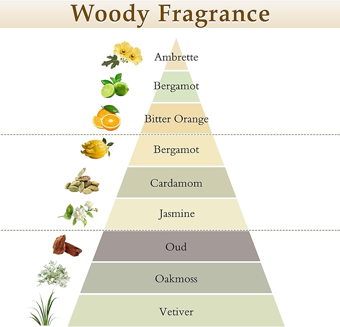 XEPTLE Reed Diffuser Set, 7.04 oz Oud & Bergamot Scent Diffuser - Image 2