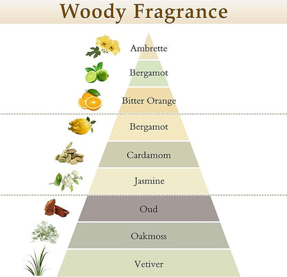 XEPTLE Reed Diffuser Set, 7.04 oz Oud & Bergamot Scent Diffuser - Image 2