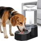 Sfozstra Large Dog Water Dispenser: 8L Large Capacity Gravity Water Feeder by Sfozstra